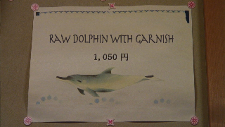 Dolphin Sushi