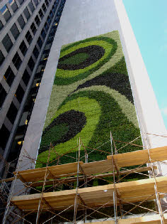 PNC living wall