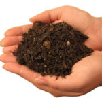compost and biodegradable