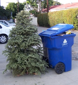 xmas tree recycling