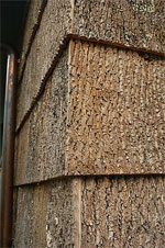 poplar bark siding