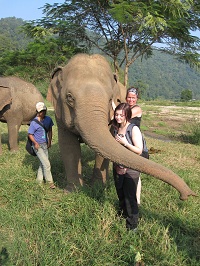 Thai Elephant