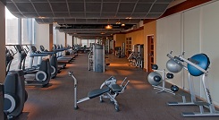 Elaia Gym