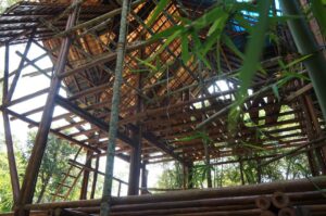 Bamboo construction