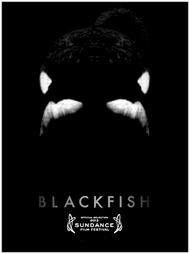 blackfish seaworld documentary