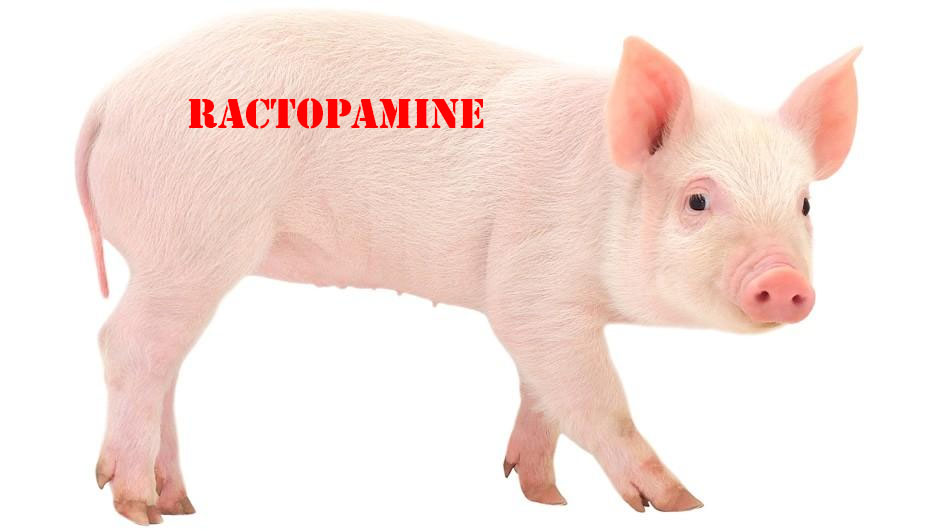 rectopamine labeling in food