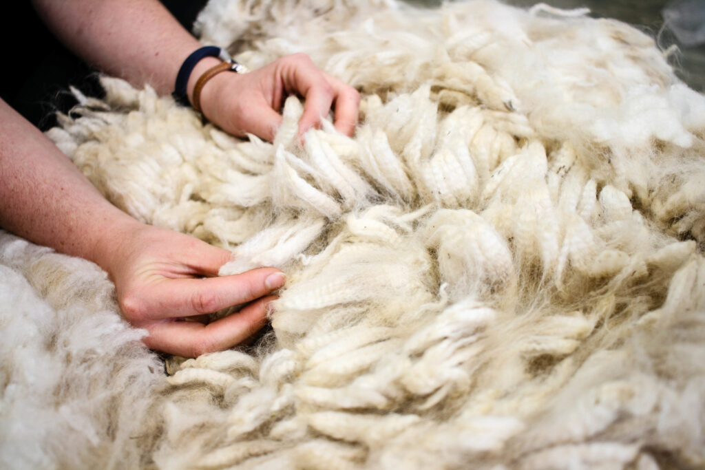 sustainable wool products